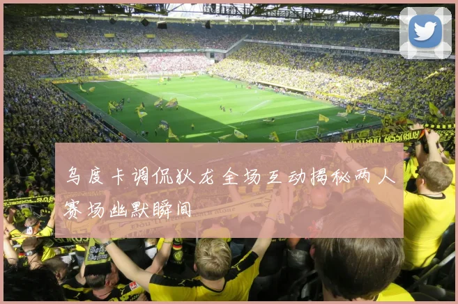 乌度卡调侃狄龙全场互动揭秘两人赛场幽默瞬间